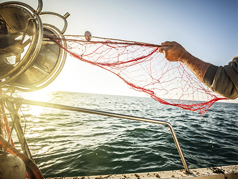 Immagine evento progetto pesca sicura
