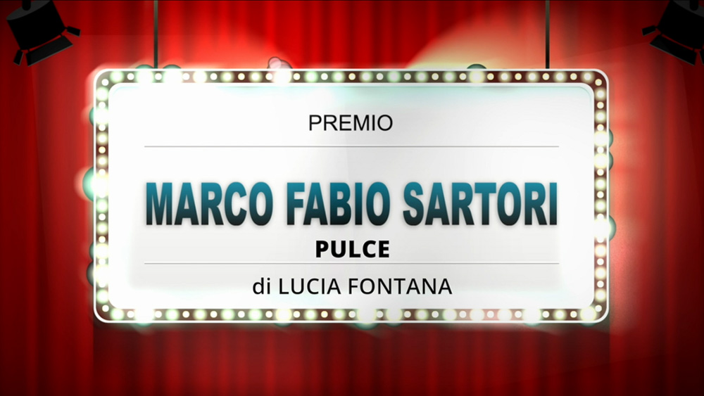 3° CLASSIFICATO - PULCE di Lucia Fontana