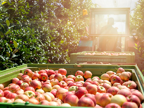 Immagine webinar Veneto Isi Agricoltura 2019-2020