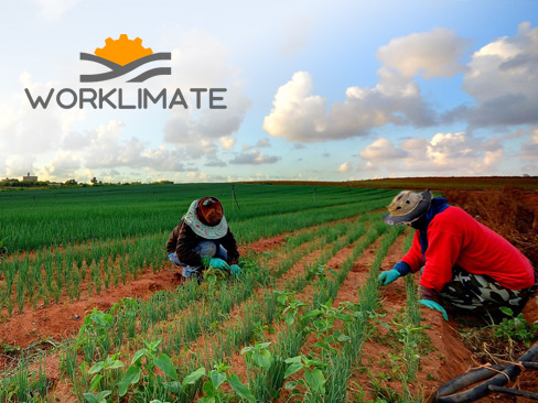 Immagine lavoratori agricoli