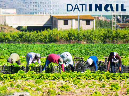 Infortuni e malattie professionali, nel nuovo numero di Dati Inail un focus sui lavoratori stranieri