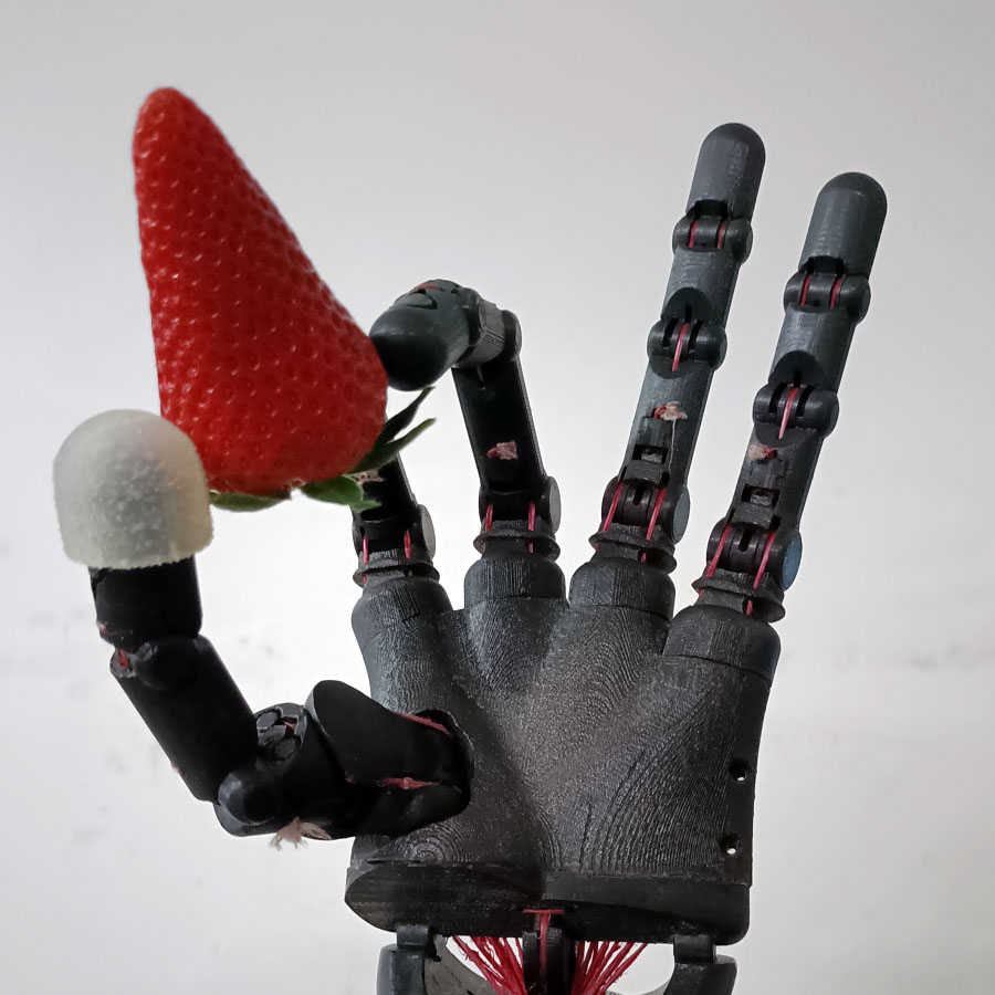 Immagine progetto di ricerca Intelliman